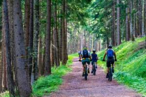 Orienteering Mountain Bike